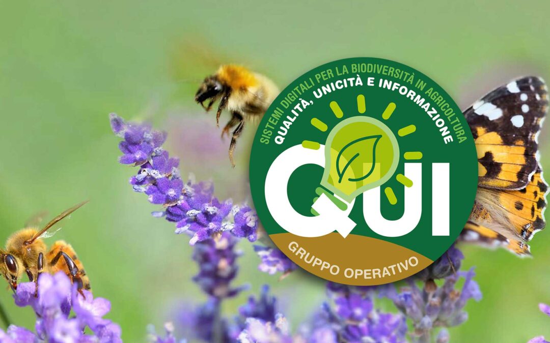 VIDEO / Gruppo Operativo Qui. Incontro tematico del 24 gennaio 2023