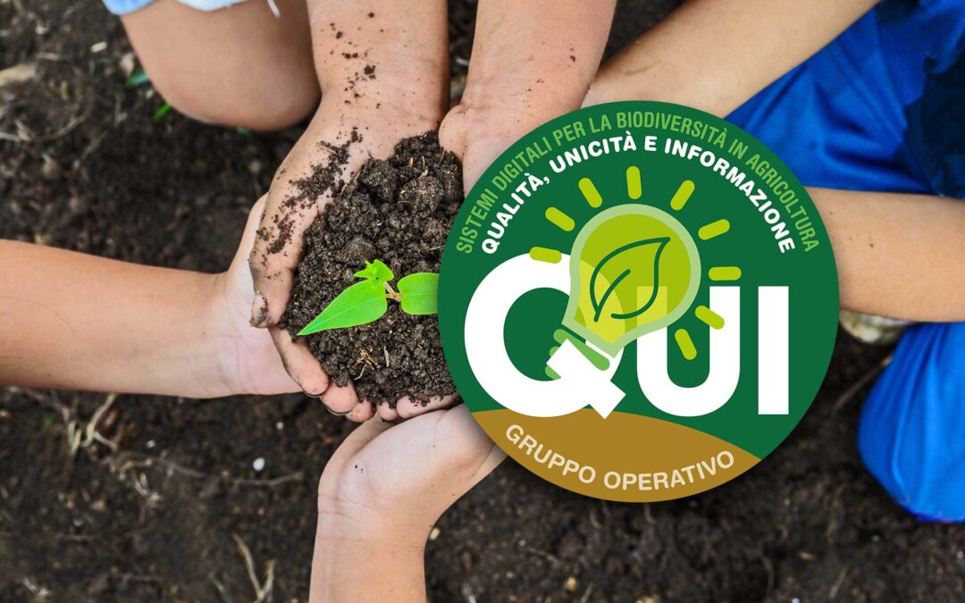 Gruppo Operativo Qui. La relazione finale